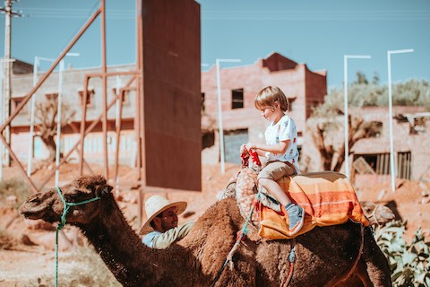 Agadir camel ride - Taghazout camel ride