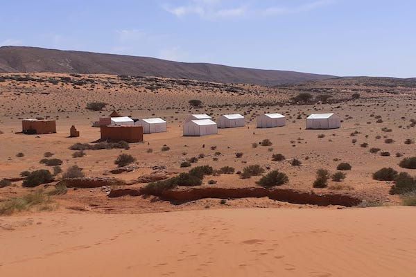 agadir desert tours