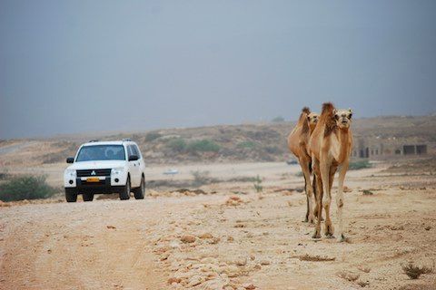 Small desert trip from agadir